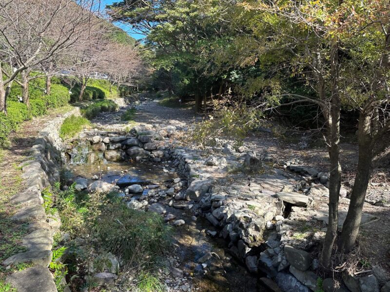 深坂自然の森の川