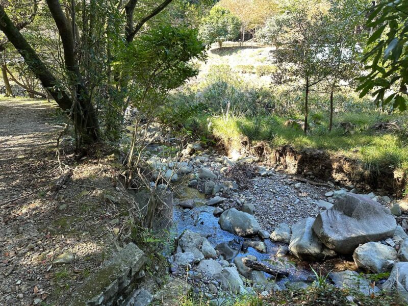 深坂自然の森小川