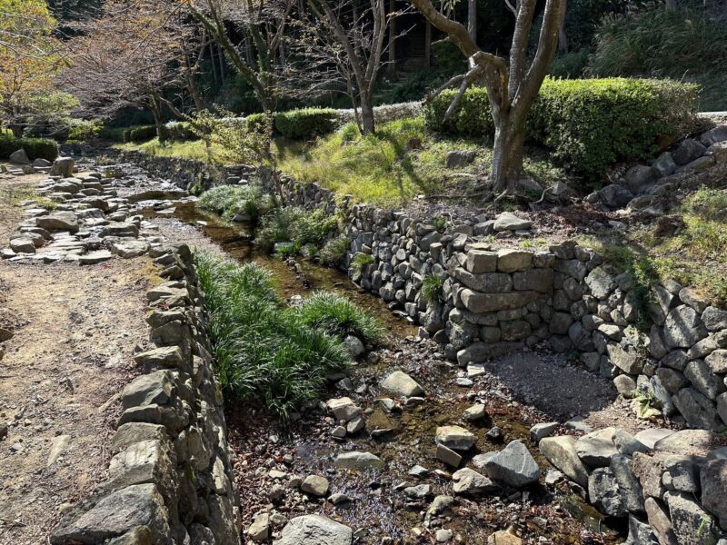 深坂自然の森公園の川