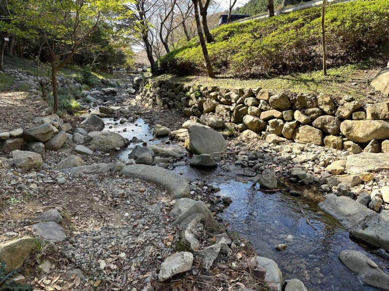 深坂自然の森キャンプ場小川